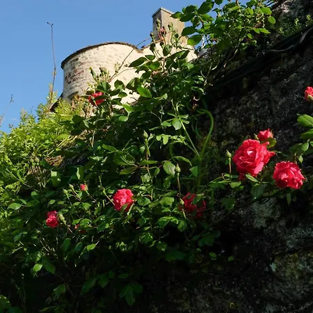 Chateau De Balsac Druelle Balsac